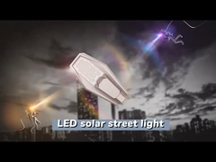 192pcs 2835SMD LED Split Type Solar Street Light Met Mono Panel