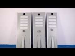 Life PO4 batterij Type All In One Zonne-Straatverlichting met 6600lm Lumen